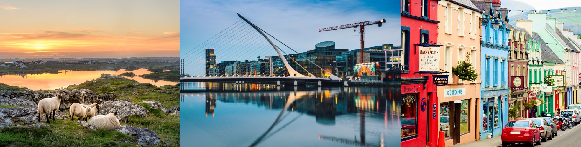 Locumotion Blog NEW 1970X500 (15)